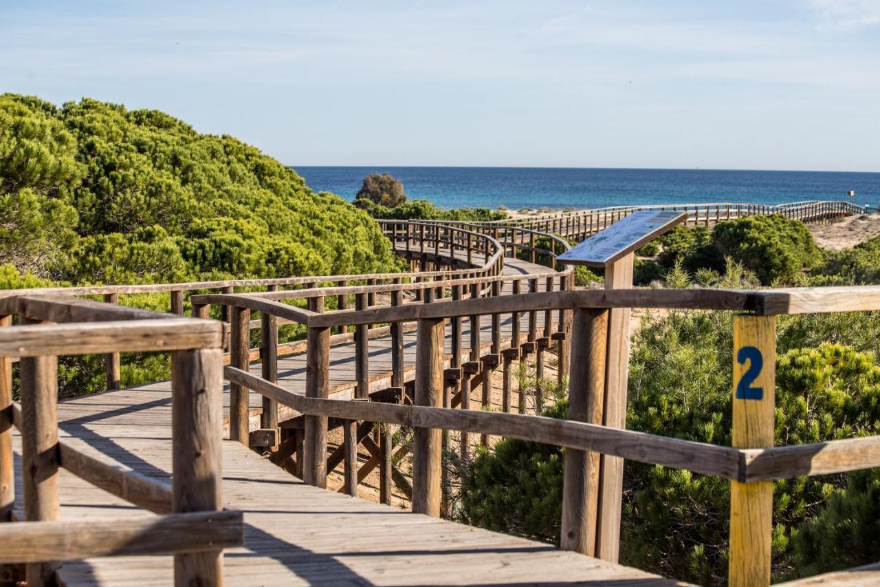 Ferienwohnung Vistas Al Mar Arenales del Sol Exterior foto